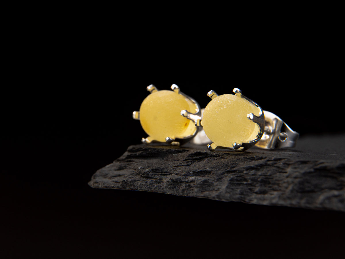 BalticBliss citrus stud earrings with Baltic amber.